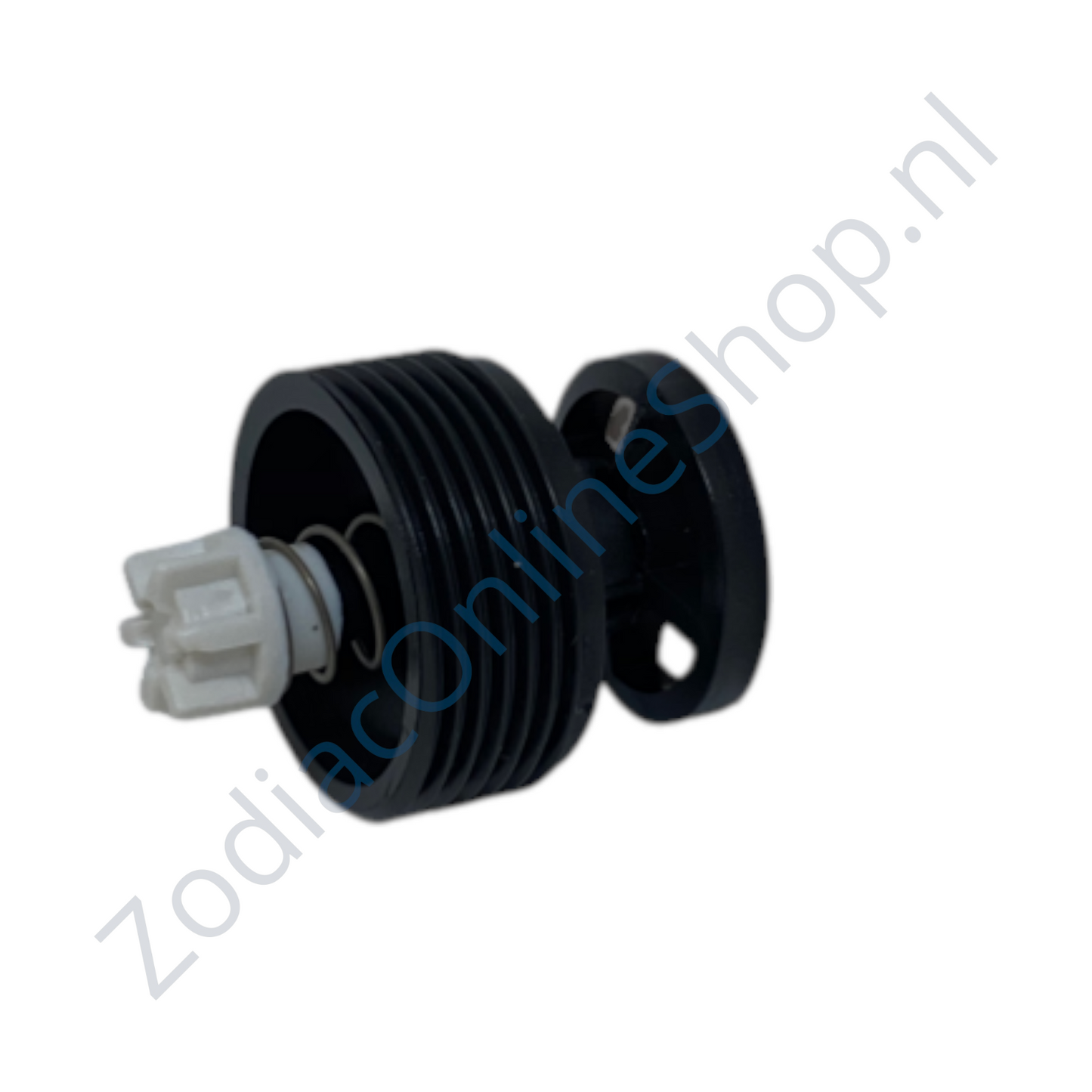 Z60055 inzetventiel zodiac